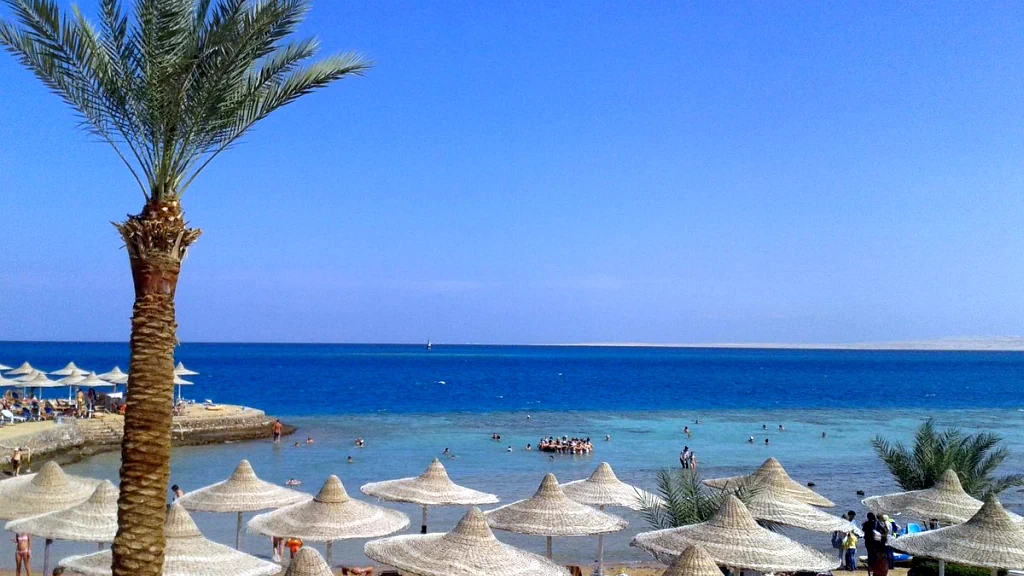 الفندق كينج توت ريزورت - الغردقة